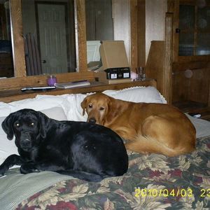 Meet your Posher, Kristie